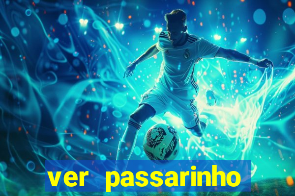 ver passarinho morto significado